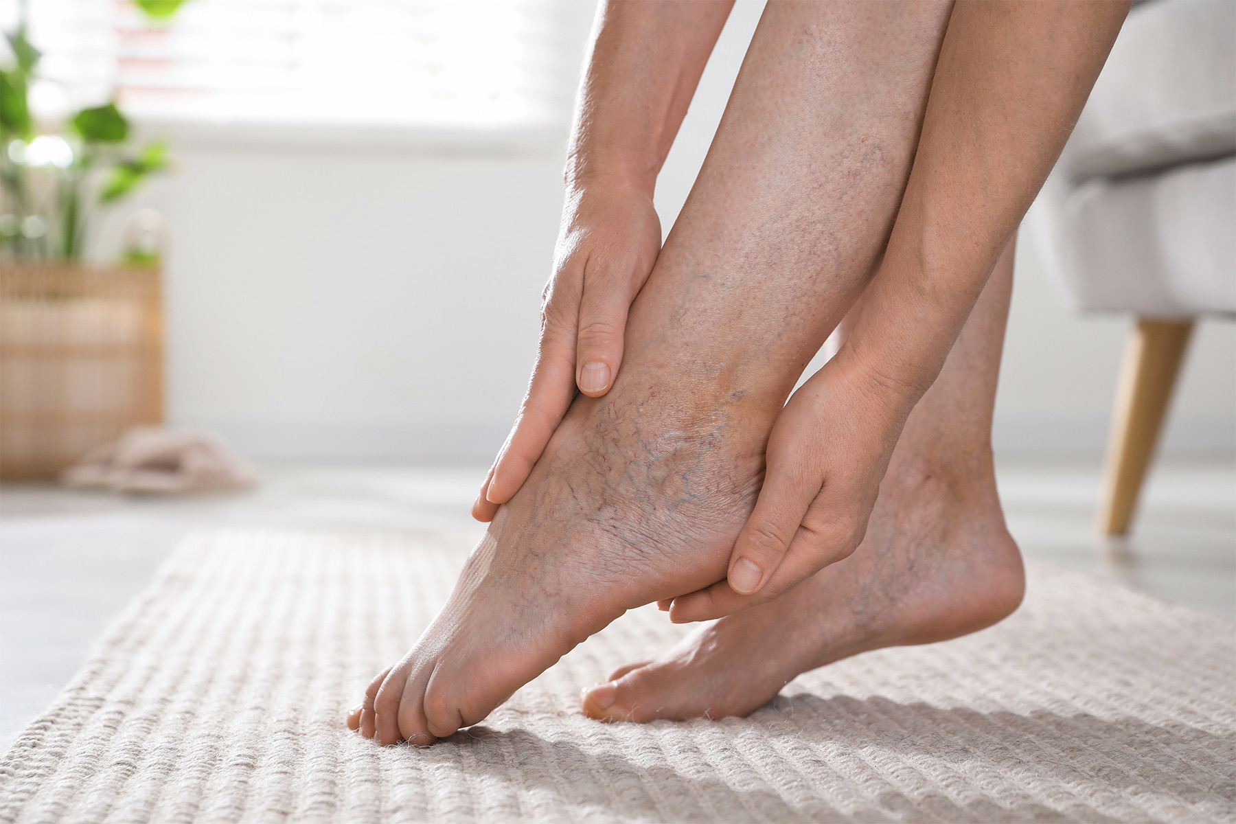 Explore las diferencias anat&oacute;micas y funcionales entre las venas del tobillo, el pie y la pierna, y aprenda c&oacute;mo estas variaciones afectan la salud vascular.